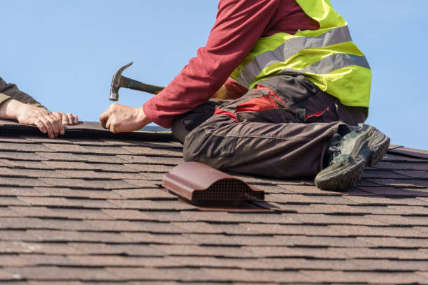 Best Roof Leak Repair  in Crystal Lawns, IL