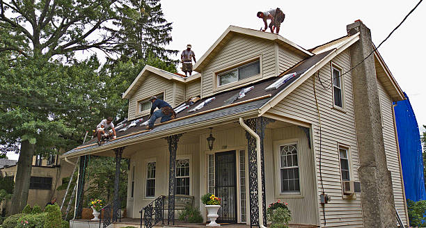 Quick and Trustworthy Emergency Roof Repair Services in Crystal Lawns, IL